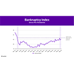 CSLI_Q1_2025_Image_Bankruptcy_Index.jpg