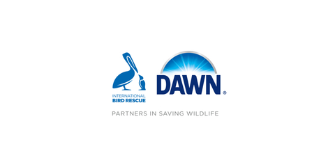 thumbnail For more than 40 years, wildlife experts at International Bird Rescue have only trusted Dawn to clean and help save wildlife impacted by oil spills. (Graphic: Business Wire)